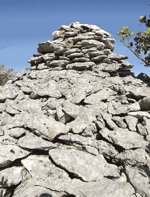 descrizione immagine