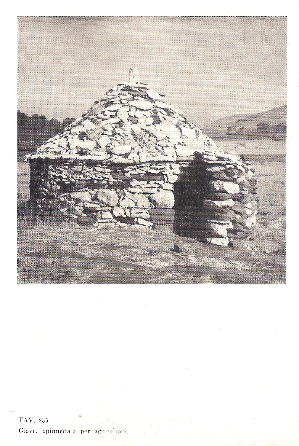 descrizione immagine