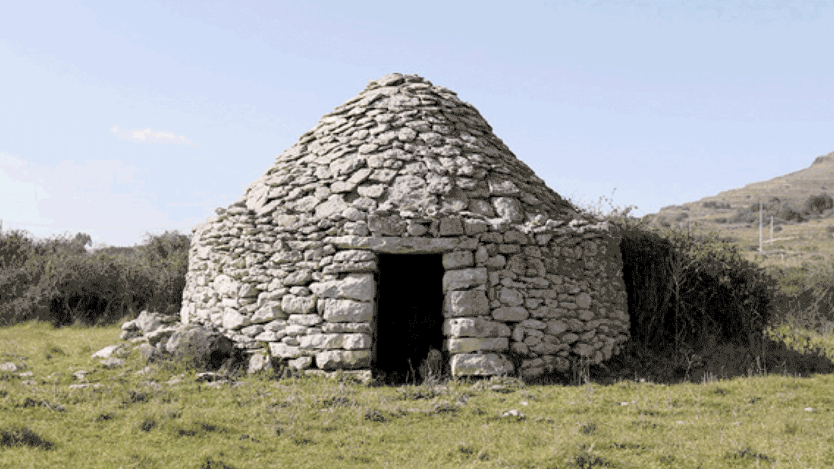 descrizione immagine