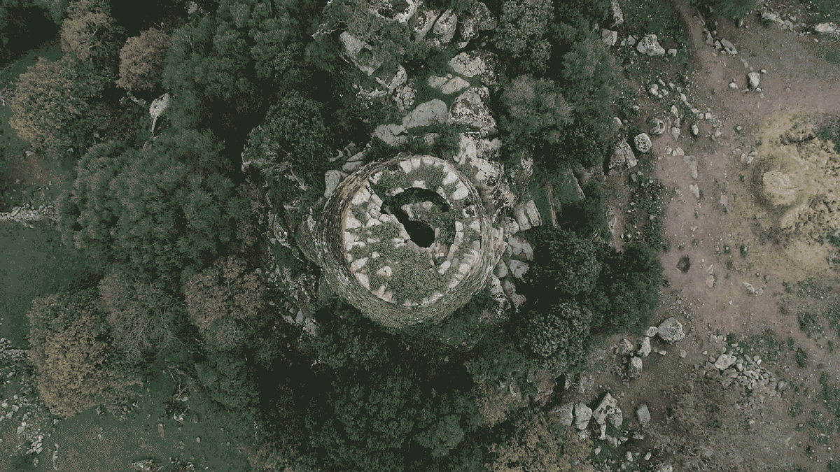 descrizione immagine